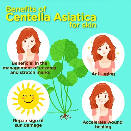 Asian Centella Vials applied via mesotherapy for rosacea-prone & reactive skin protocols | SlimSpa
