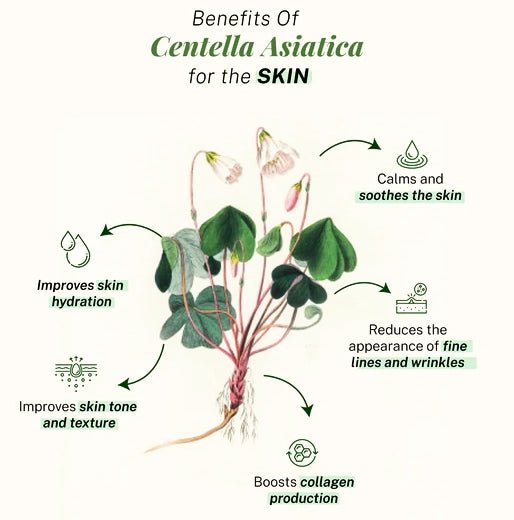 Asian Centella Vials 10ml ampoule — Asiaticoside & Madecassoside for collagen repair | SlimSpa