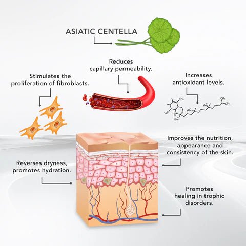 Asian Centella Vials professional packaging — sensitive skin & scar repair mesotherapy | SlimSpa