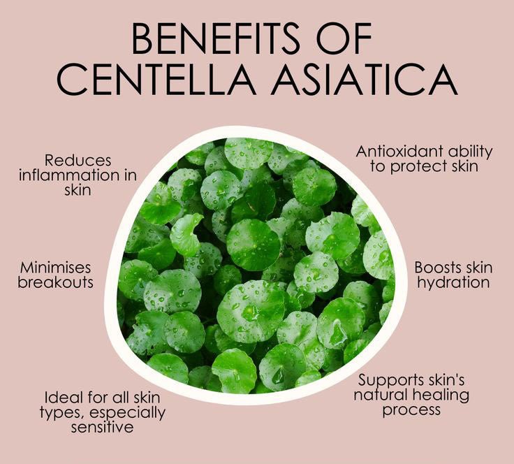 Asian Centella Vials used in facial mesotherapy for redness calming and skin barrier support | SlimSpa