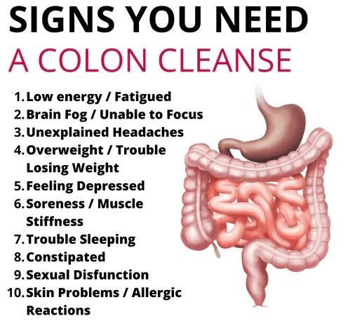 Dieter's Cleanse supplement facts label — senna, cascara sagrada & psyllium husk for licensed estheticians